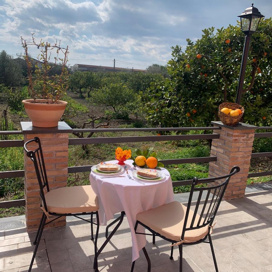 La Pomelia B&B Sofia 트라피텔로 외부 사진