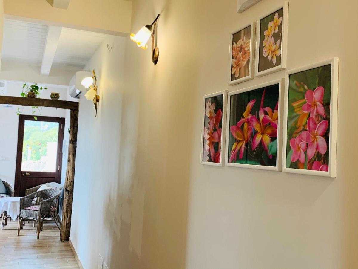 La Pomelia B&B Sofia 트라피텔로 외부 사진