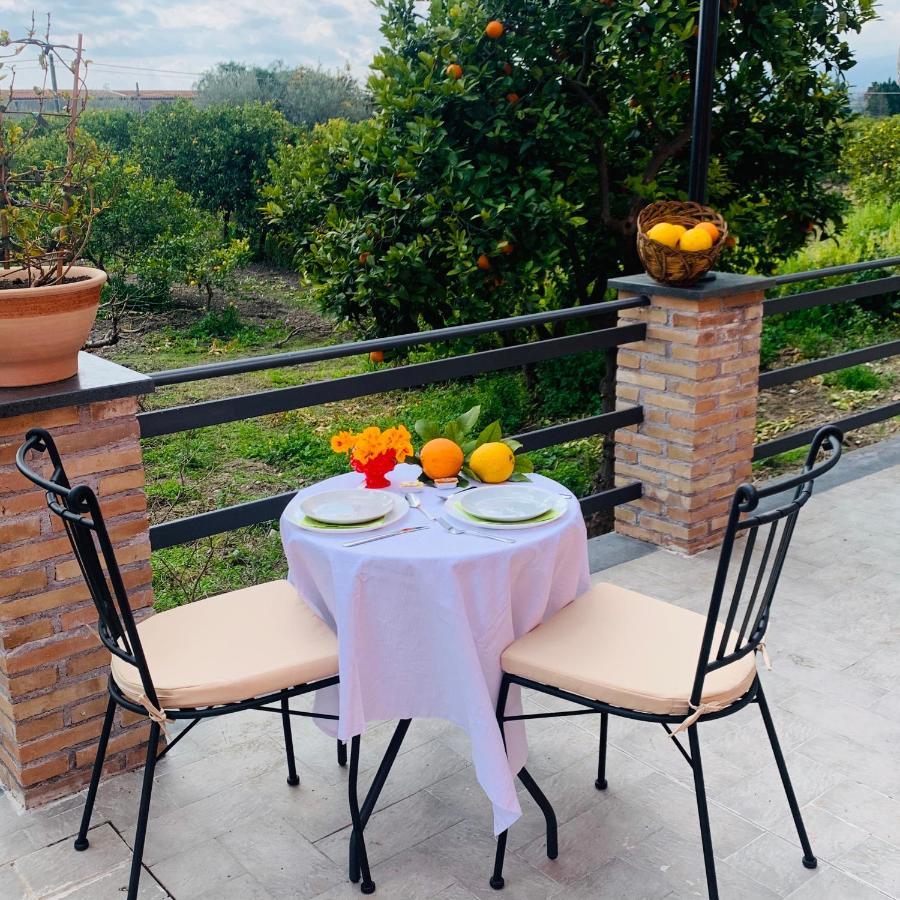La Pomelia B&B Sofia 트라피텔로 외부 사진