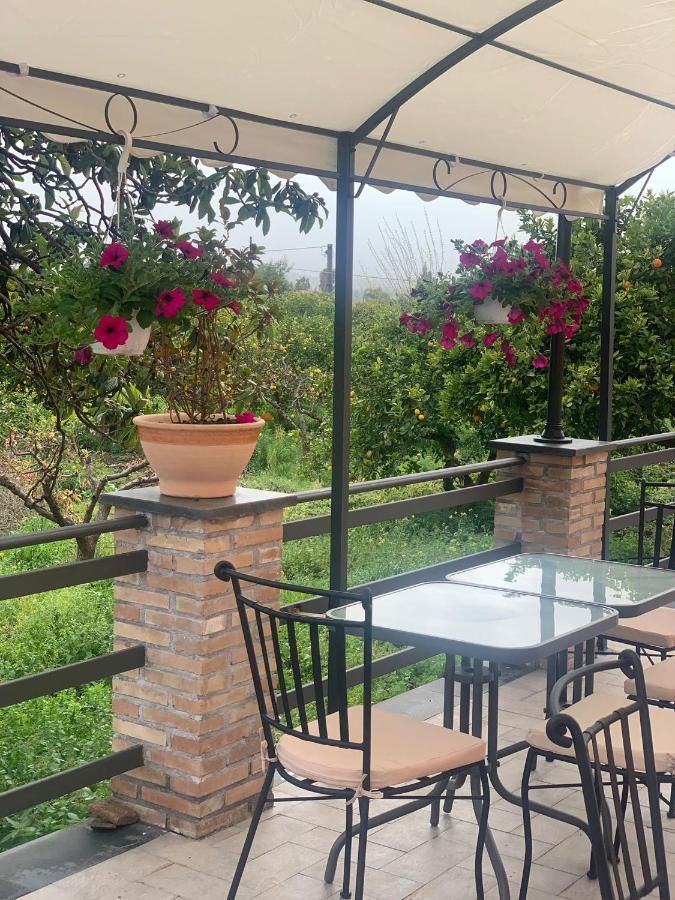 La Pomelia B&B Sofia 트라피텔로 외부 사진