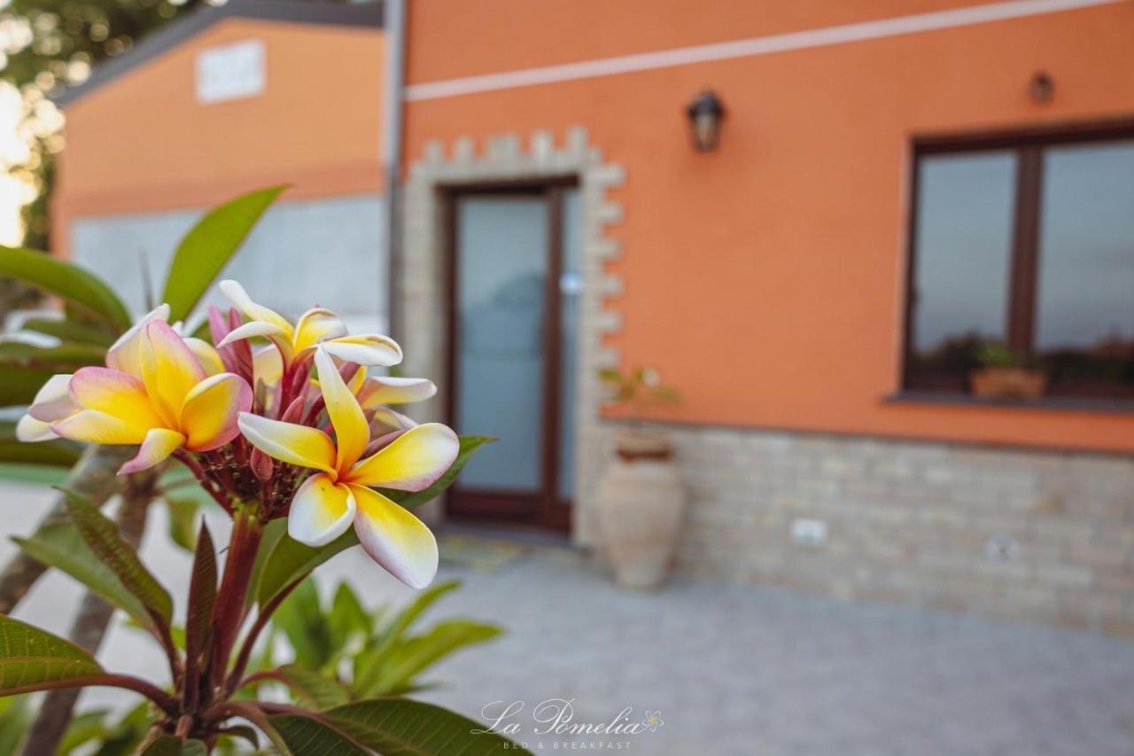 La Pomelia B&B Sofia 트라피텔로 외부 사진
